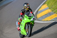 PJ-Motorsport-2019;anglesey-no-limits-trackday;anglesey-photographs;anglesey-trackday-photographs;enduro-digital-images;event-digital-images;eventdigitalimages;no-limits-trackdays;peter-wileman-photography;racing-digital-images;trac-mon;trackday-digital-images;trackday-photos;ty-croes